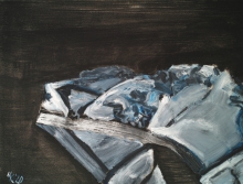 Meduza siatkowa,38x50,ol_pl,2020.jpg